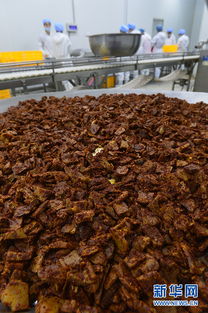 全产业链赋能 西海固肉牛产业的振兴之路